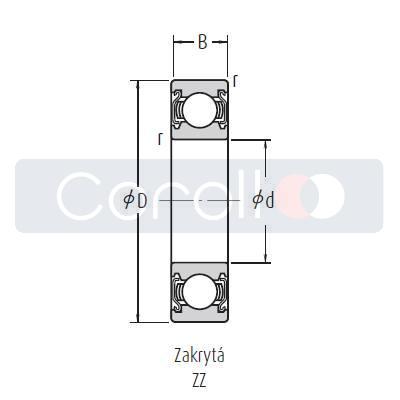 6000 ZZ2CM