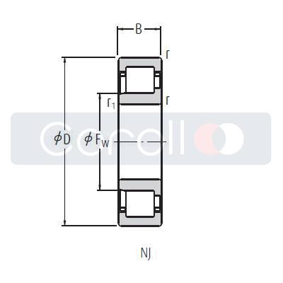 NJ 308 ETC3