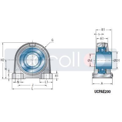 PAE 205 SNR