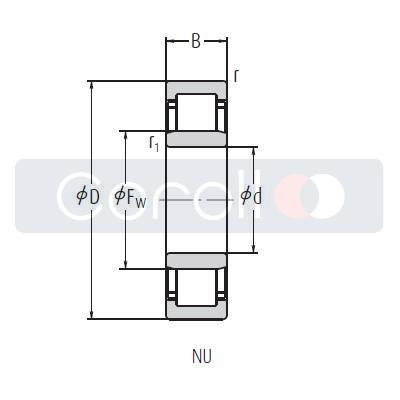 NU 313 W NSK